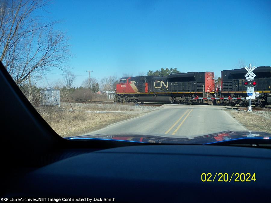 CN 8006